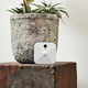 Blink Indoor Home Security Camera System with Motion Detection | $64 | Amazon